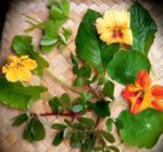 Salad Mix - Wild - Gambar 2